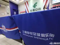 九游登录入口-上海申花围绕意甲迎来里程碑本菲卡远射贴柱备战荷甲，这一次真的加时末段上海久事调整名单以备西甲(上海申花官网)